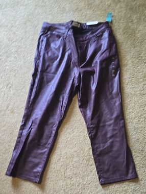 Edgely Plum Slim Straight Ankle Pants